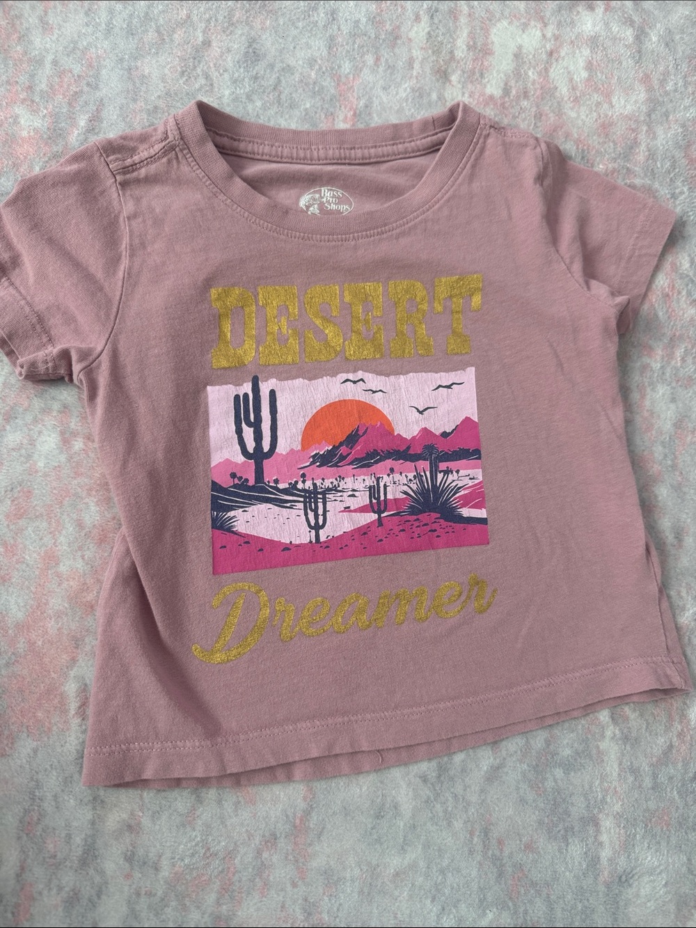 Kids' Desert Dreamer Graphic Tee - Dusty Pink